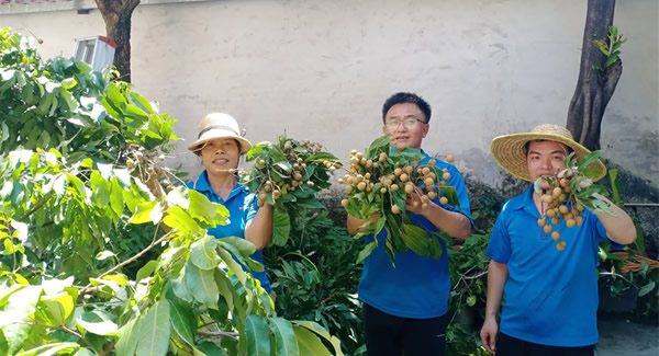 摘一顆龍眼，品一份團圓，謝一次饋贈 | 廣有五金&東莞合頁